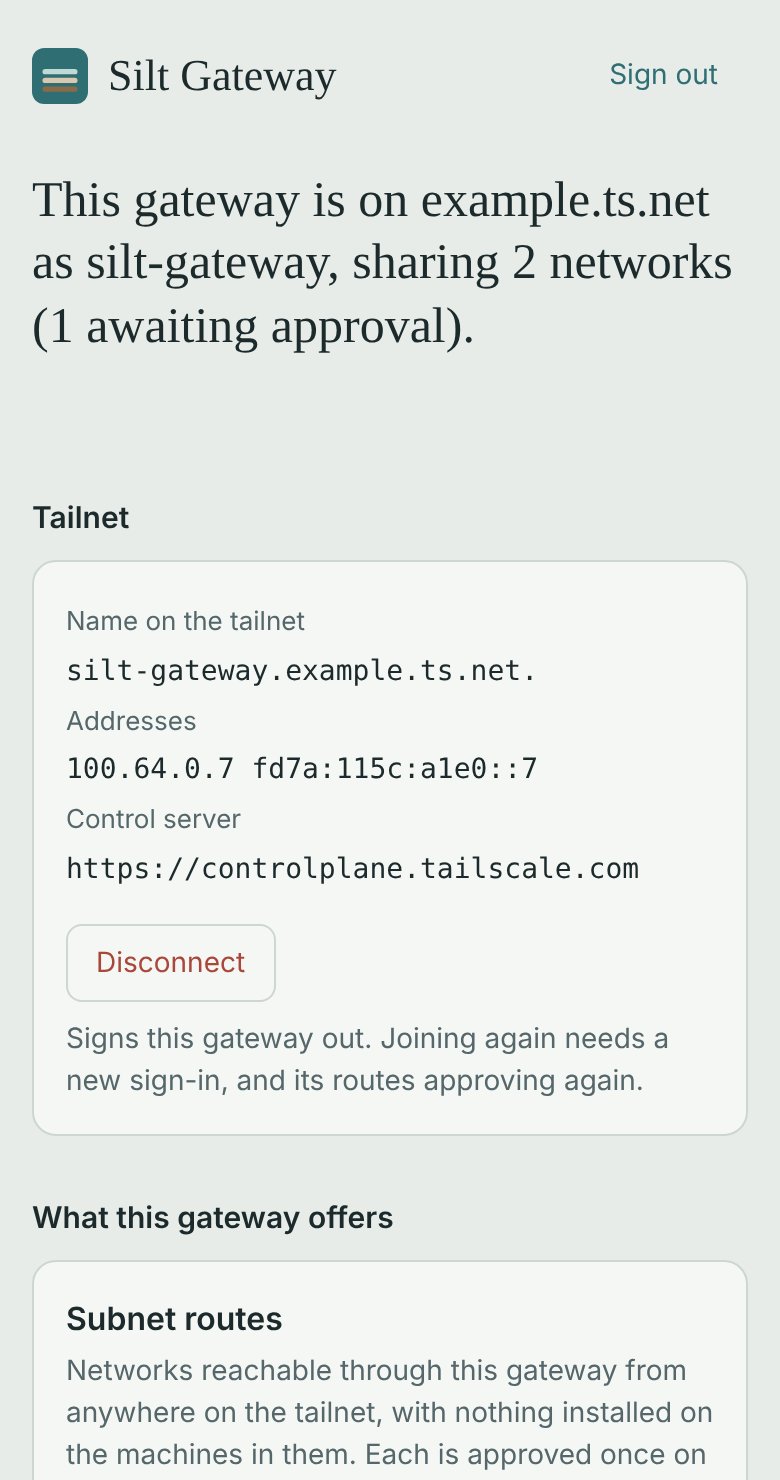 On the tailnet: its name, addresses and control server